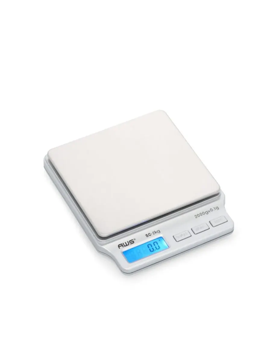 Цифровые карманные весы - 2 л x 0,1 г, компактный кухонный инструмент American Weigh Scales — серебристый