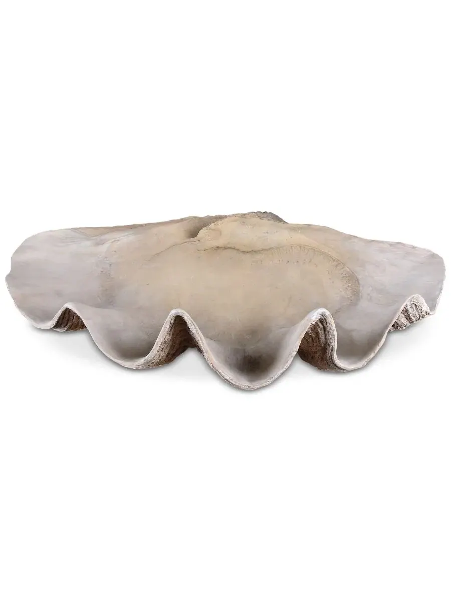 Чаша в форме ракушки Uttermost