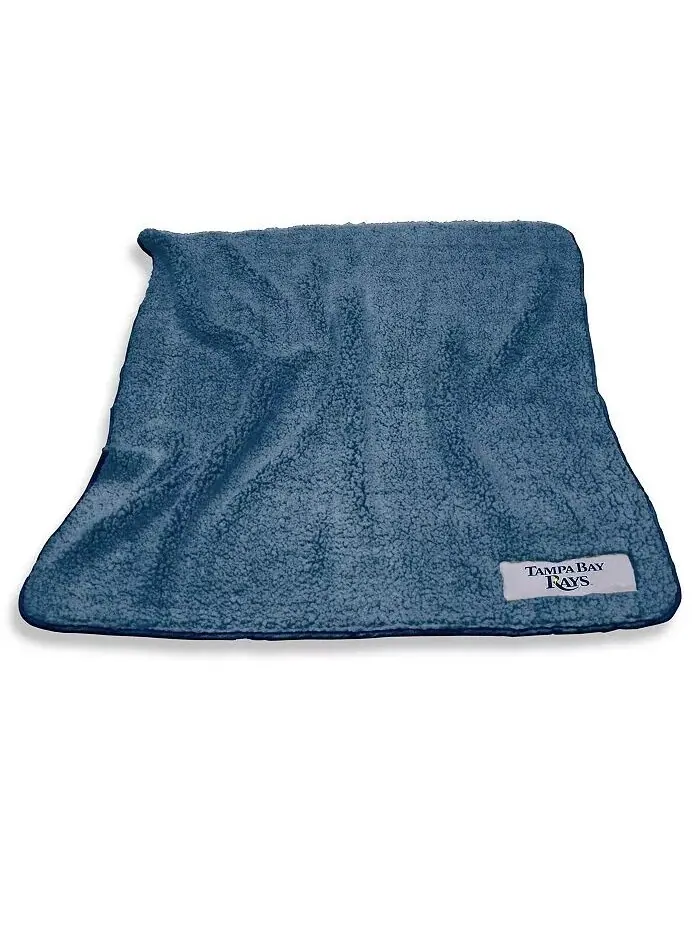 Флисовое одеяло Tampa Bay Rays Frosty Fleece размером 60 x 50 дюймов Logo Brands