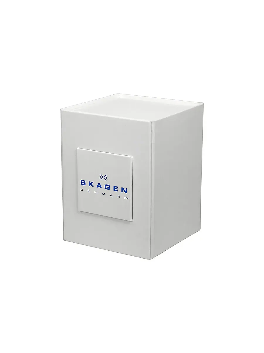 Женские часы Skagen Anite с серебристым циферблатом и золотистой сеткой SKW2150 — изображение 4 из 4