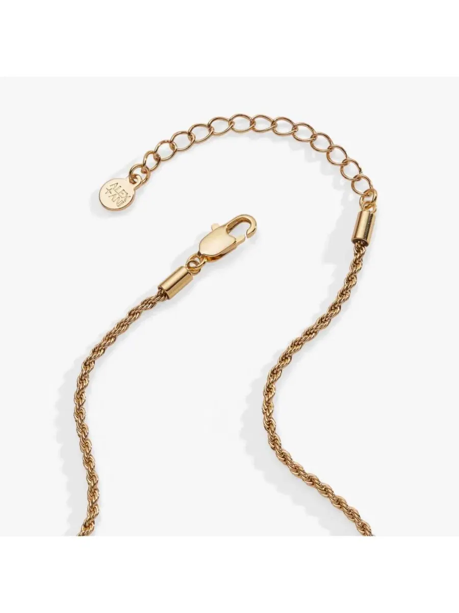 Кулон-шейкер для вечеринки в саду Alex And Ani — изображение 2 из 6, оттенок нет цвета
