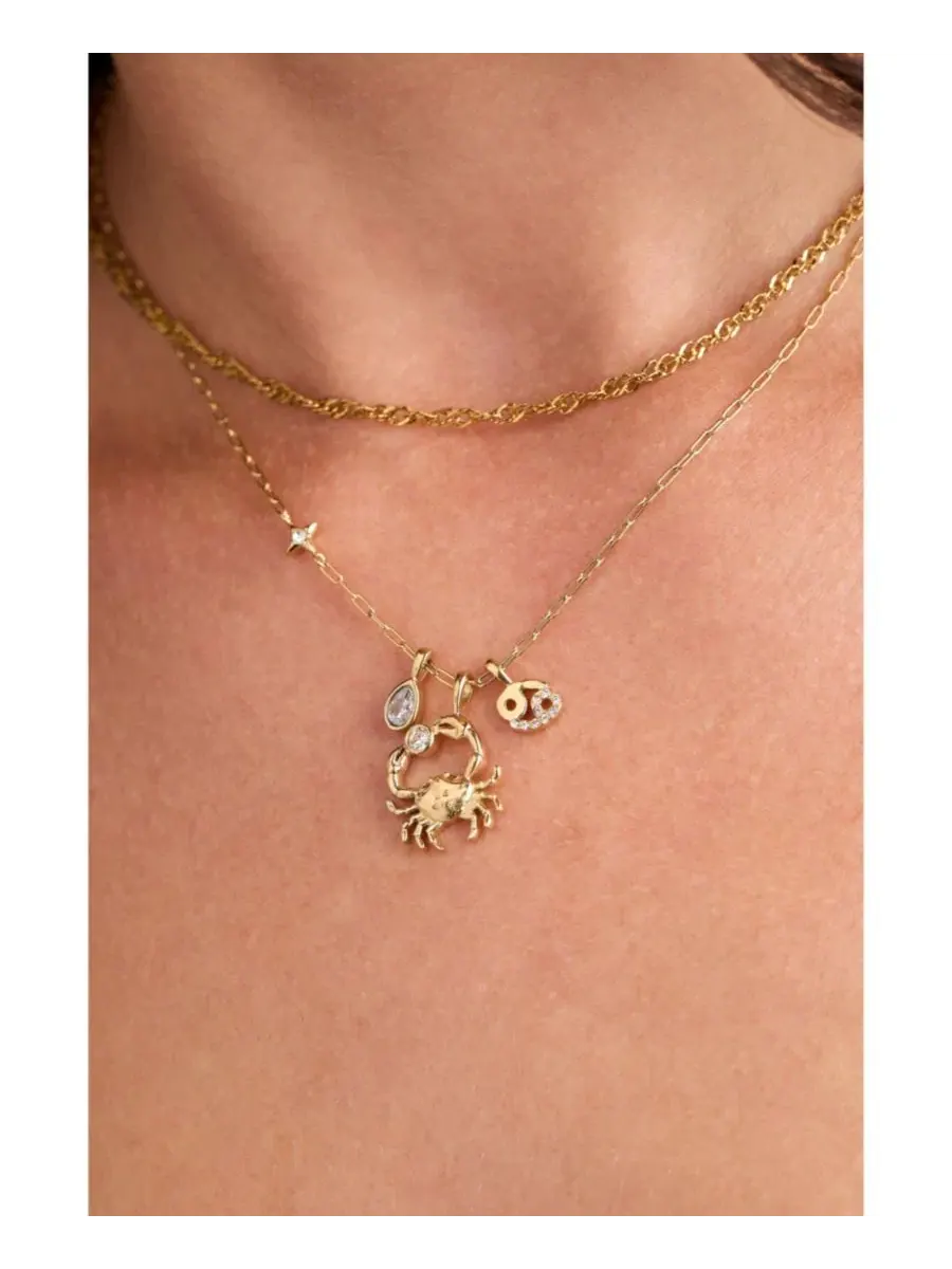 Колье с подвесками Cancer Zodiac Charm Cluster Alex and Ani — изображение 3 из 3, оттенок нет цвета