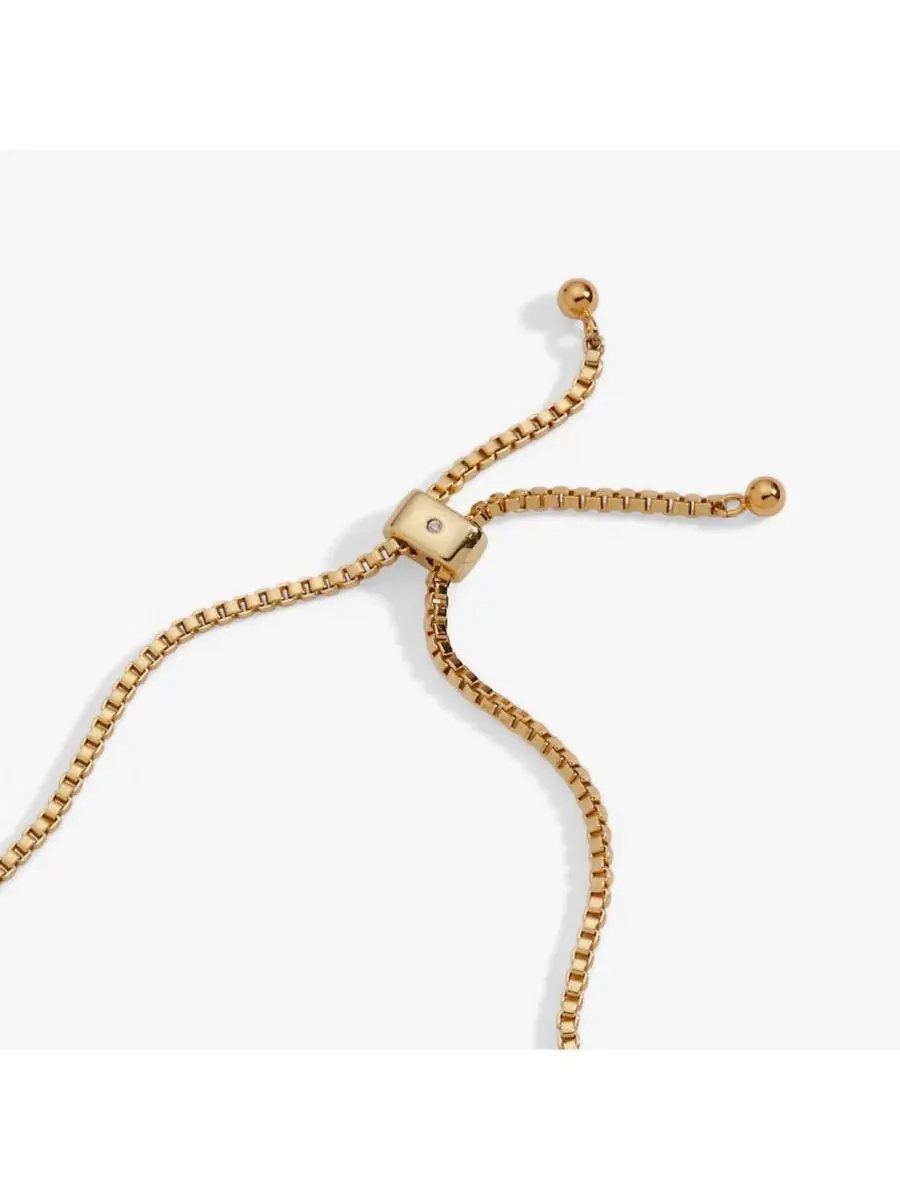 Браслет-боло с подвесками в виде кофейных зерен Coffee Bean Bolo Bracelet Alex and Ani — изображение 3 из 3