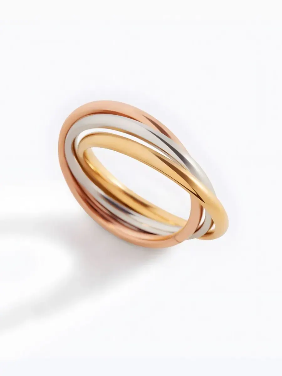 Кольцо-непоседа с подвижным ободком, модель Dainty Interlocking Fidget Ring Mint & Lily