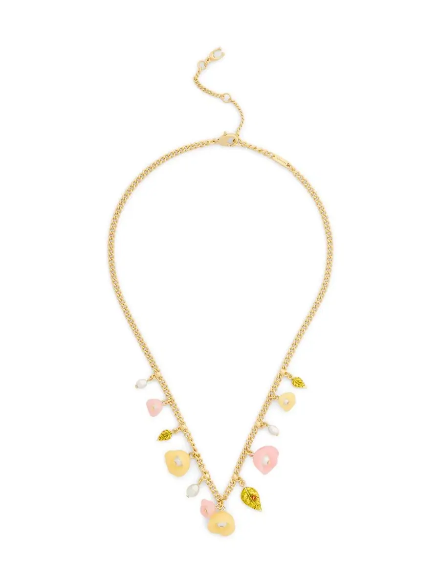 Колье-ожерелье с цветочным принтом Faux Stone Floral Statement Bib Necklace COACH