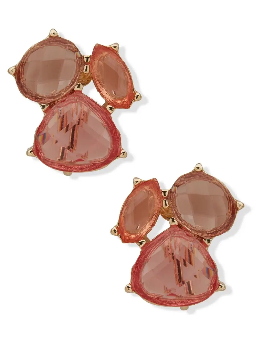 Серьги-гвоздики с кластером камней Anne Klein