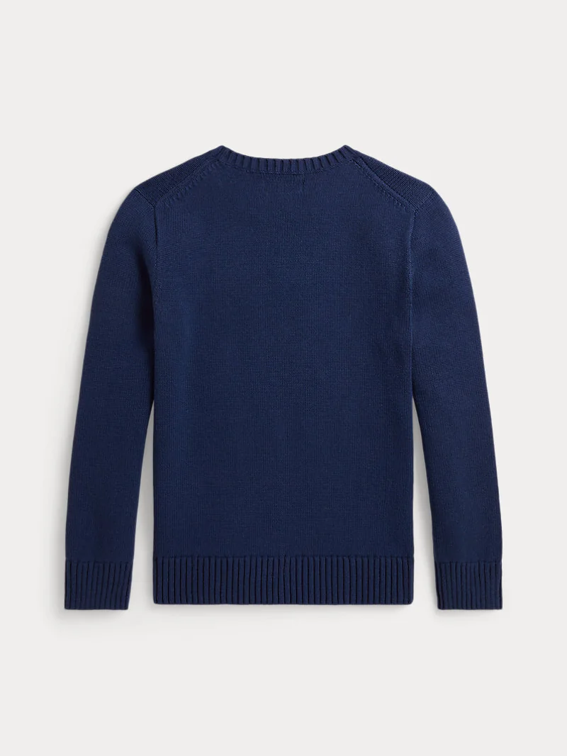 Свитер с принтом Polo Sportsman Ralph Lauren — 2