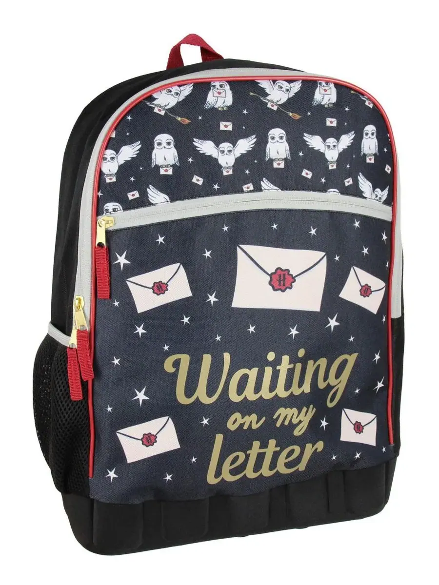 Рюкзак школьный с принтом Hogwarts Hedwig Waiting On My Letter Harry Potter