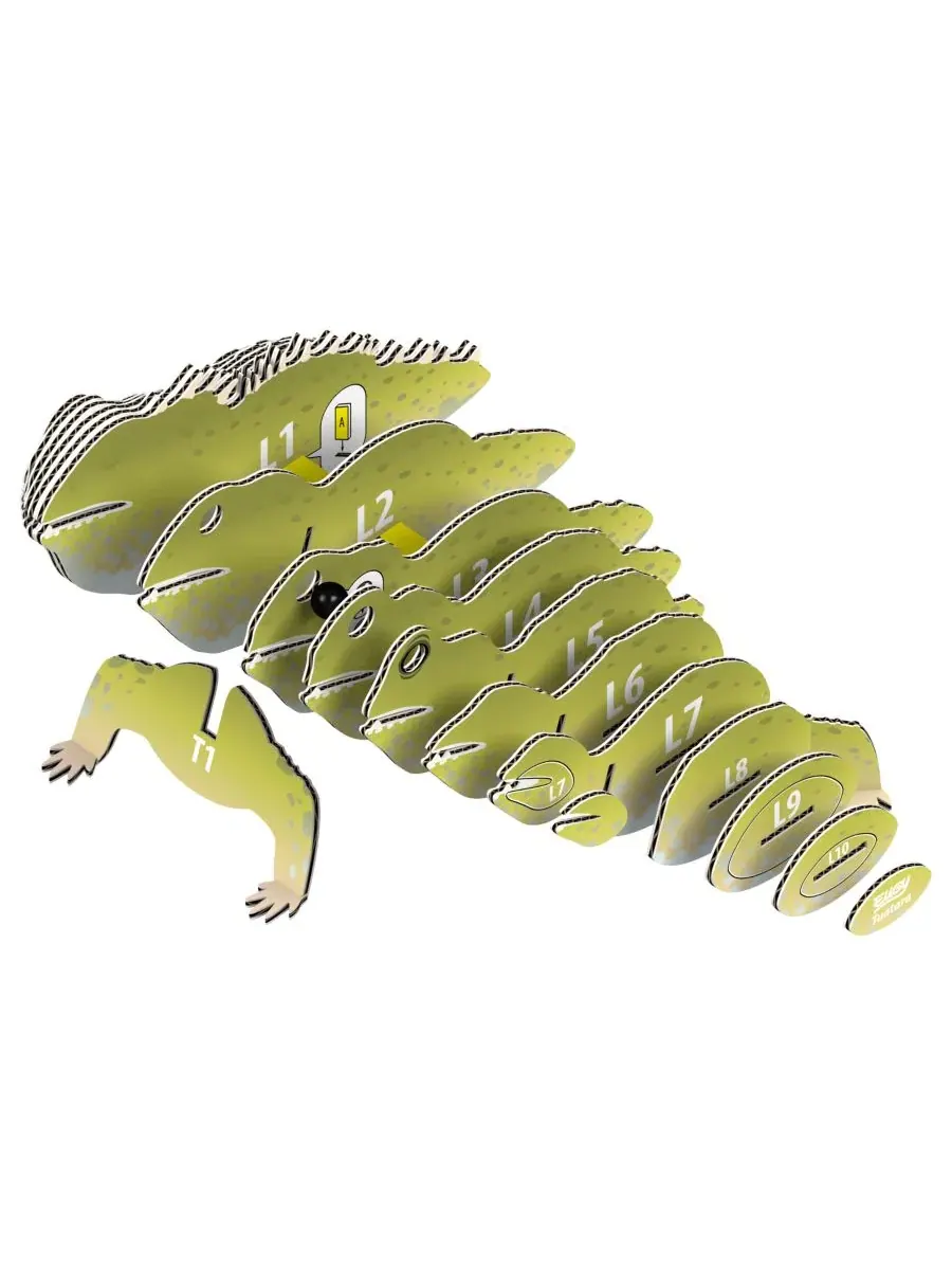 3D-пазл Tuatara Eugy — изображение 3 из 3, нет цвета
