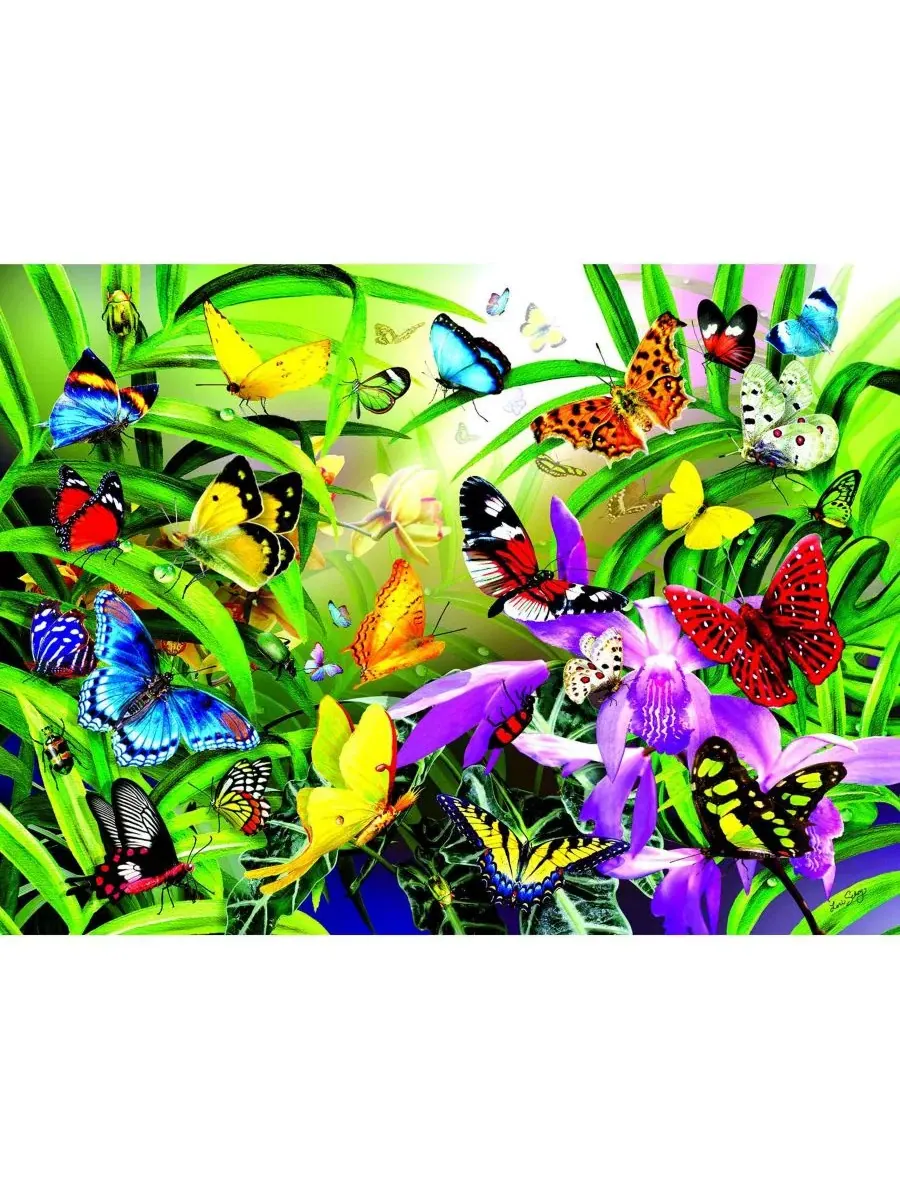 Пазл Tropical Butterflies, 1000 элементов SunsOut — изображение 4 из 5, нет цвета