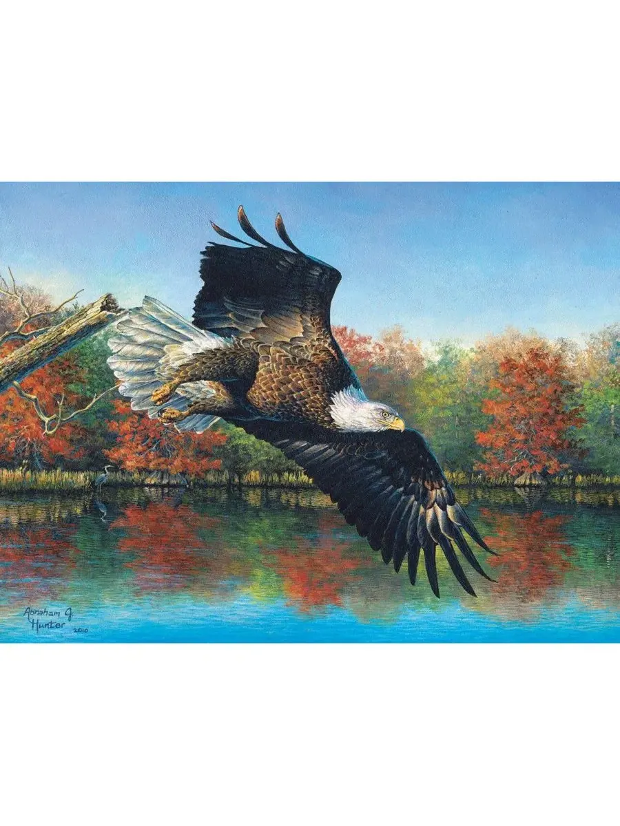 Пазл 1000 элементов Wetlands Eagle SunsOut — изображение 3 из 5, нет цвета