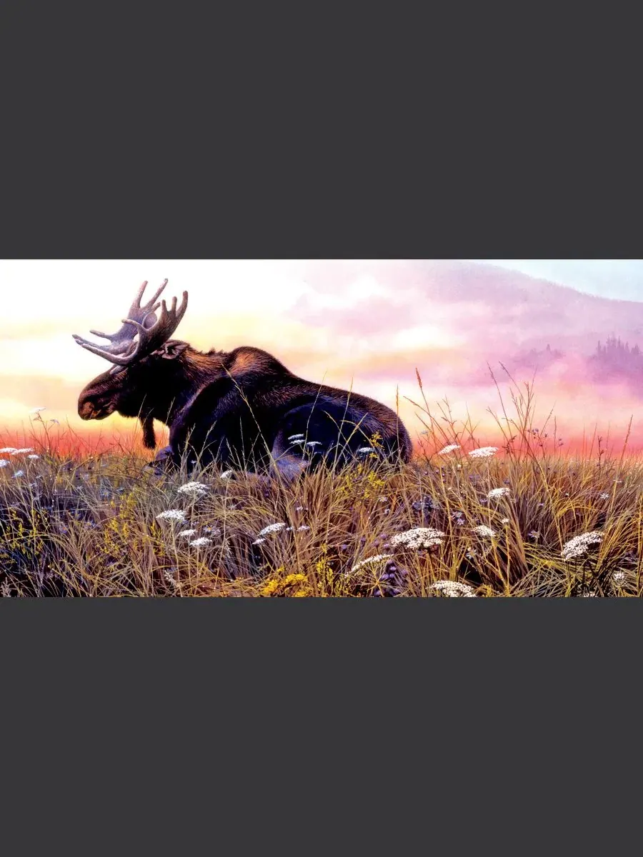 Пазл 500 элементов Daybreak Moose SunsOut — изображение 4 из 5, нет цвета