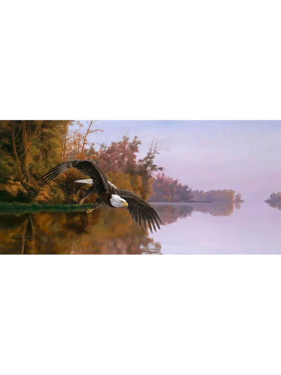 Пазл «Озерный патруль» (1000 деталей) для взрослых Sunsout — изображение 3 из 5, нет цвета