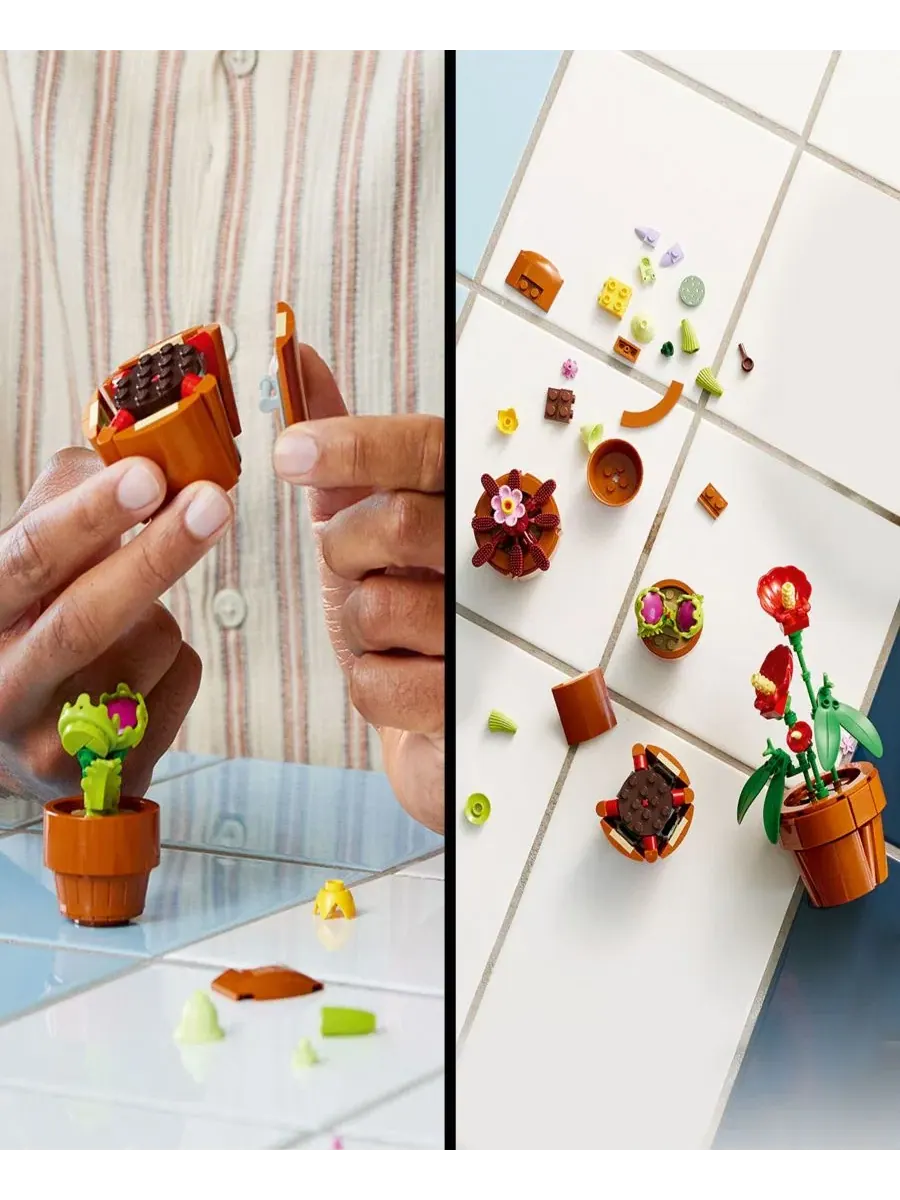 Набор для сборки и демонстрации миниатюрных растений и цветов Icons Tiny Plants and Flowers Build — изображение 5 из 6
