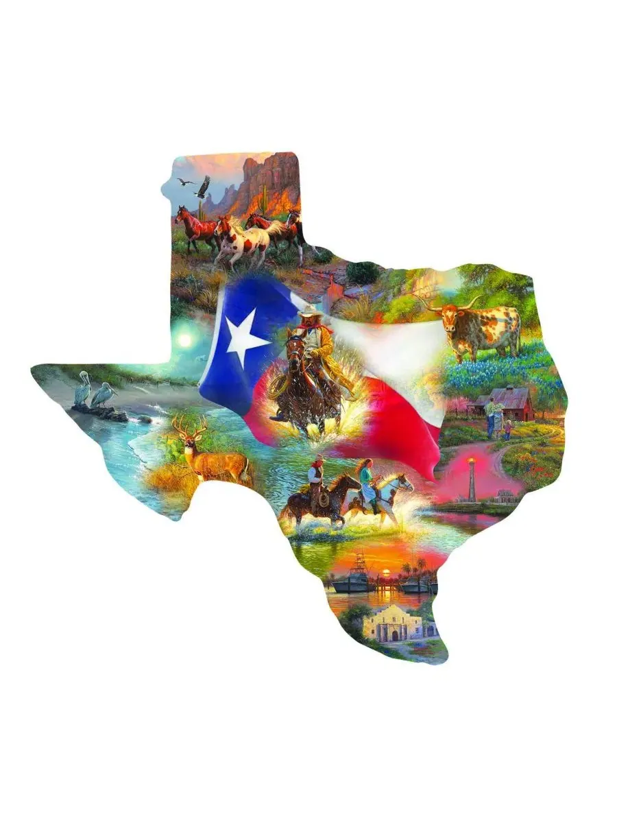 Пазл SunsOut, 1000 деталей, Images of Texas — изображение 3 из 5, нет цвета