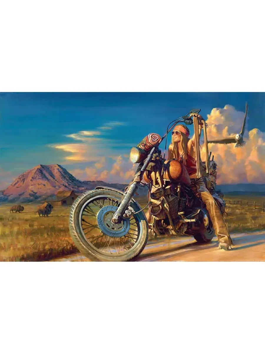 Пазл Free Spirit из 1000 деталей для взрослых Sunsout — изображение 2 из 5, нет цвета