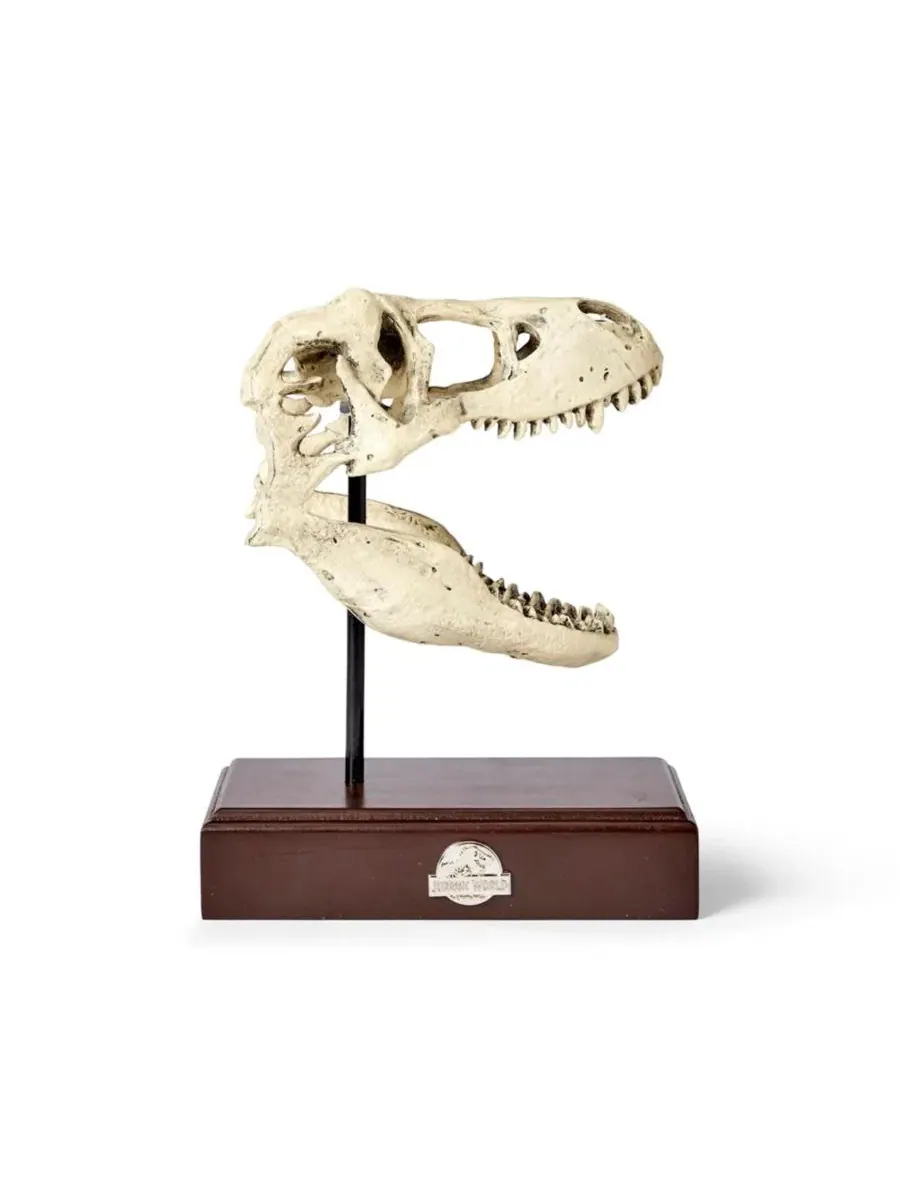 Реалистичная копия черепа тираннозавра Jurassic World, 23 см, полирезин Surreal Entertainment — коричневый