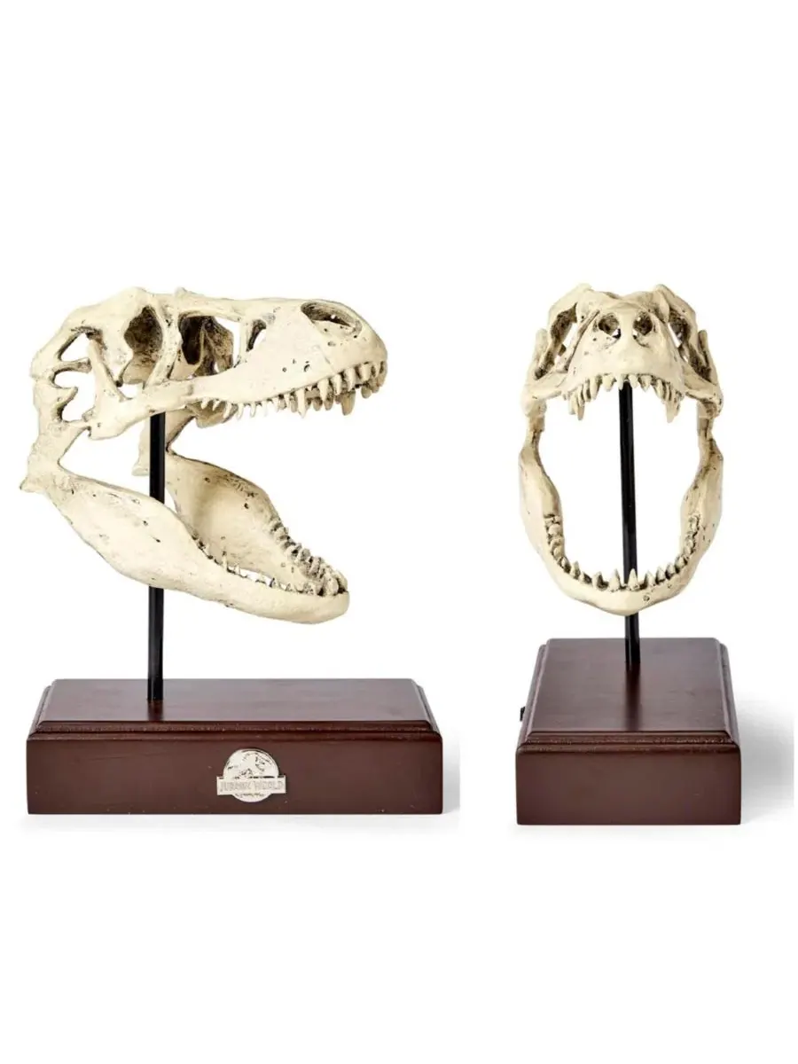 Реалистичная копия черепа тираннозавра Jurassic World, 23 см, полирезин Surreal Entertainment — изображение 2 из 7