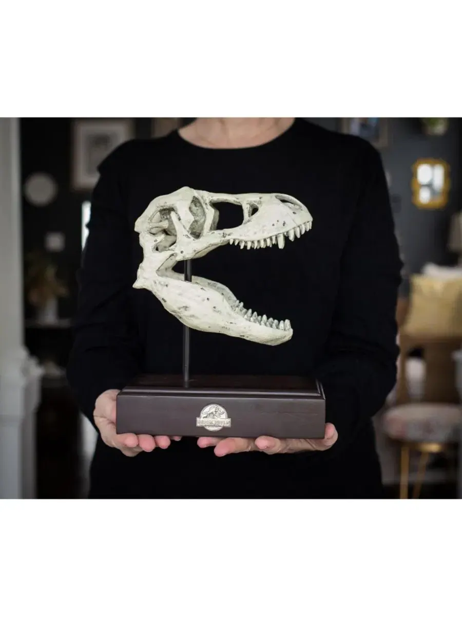 Реалистичная копия черепа тираннозавра Jurassic World, 23 см, полирезин Surreal Entertainment — изображение 3 из 7