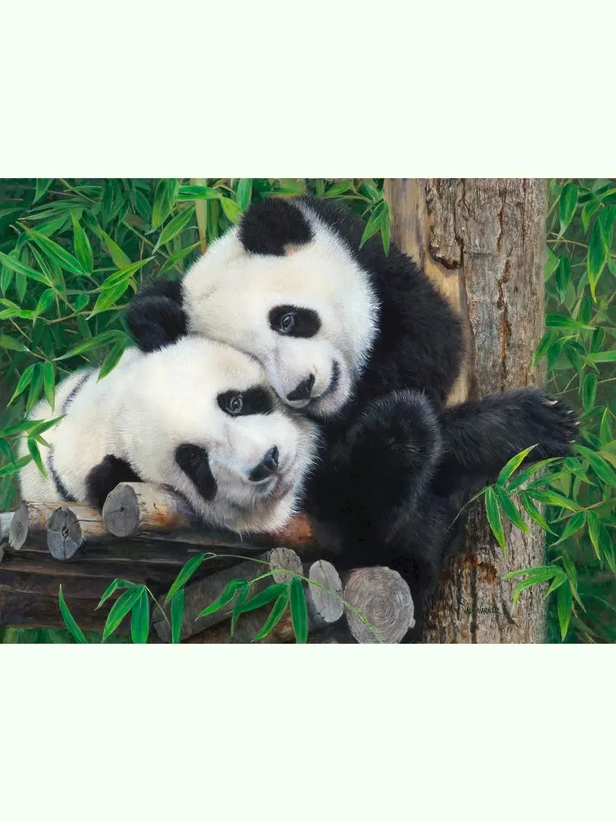 Пазл «Bam Boo Panda Buddies» из 300 деталей для взрослых Sunsout — изображение 3 из 5, нет цвета