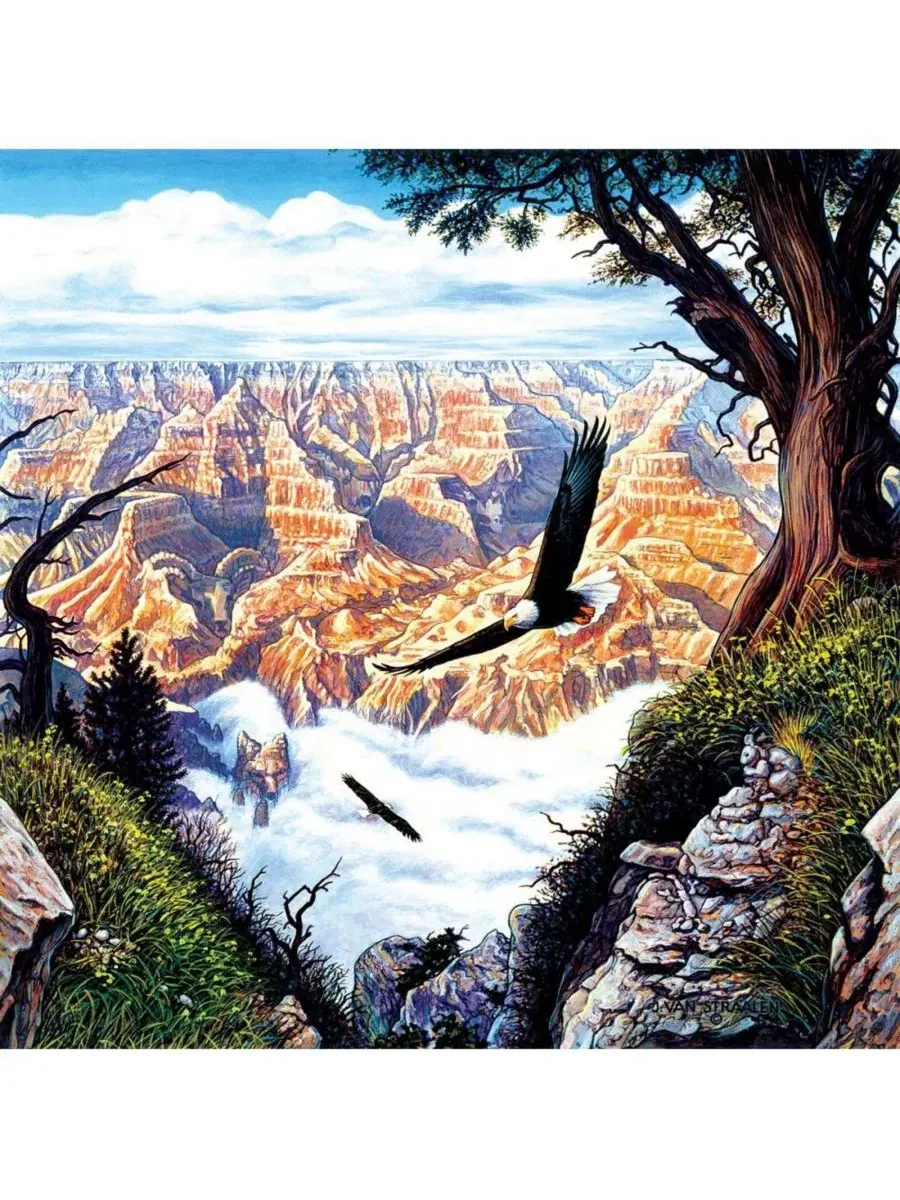 Пазл 500 деталей «Guardians of the Canyon» SunsOut — изображение 2 из 5, нет цвета