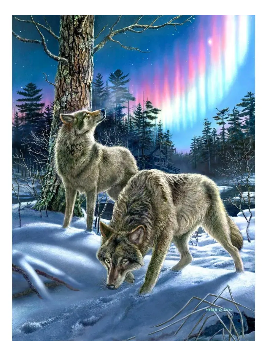 Пазл 1000 элементов Wolves and Lights SunsOut — изображение 4 из 5, нет цвета