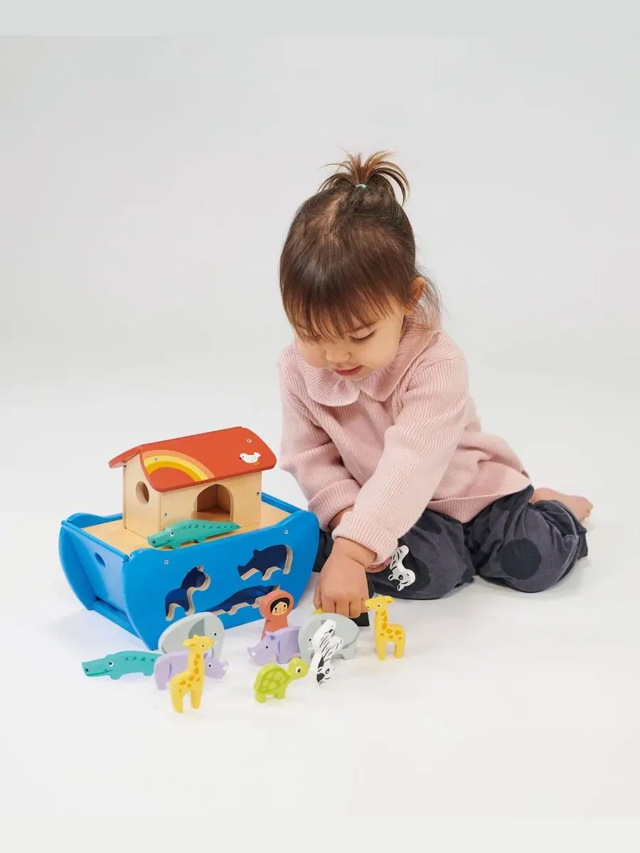 Набор для сортировки и балансировки Noah's Sorting and Stacking Bundle Mentari Toys — изображение 3 из 3, мульти