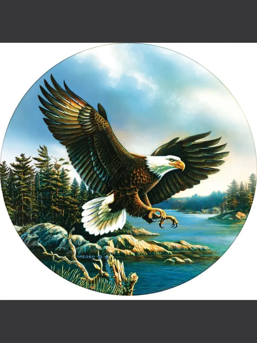 Пазл Eagle Landing 500 деталей SunsOut — изображение 5 из 5, нет цвета