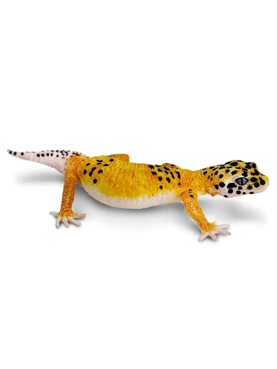 Фигурка леопардового геккона, 18 см Safari Ltd.