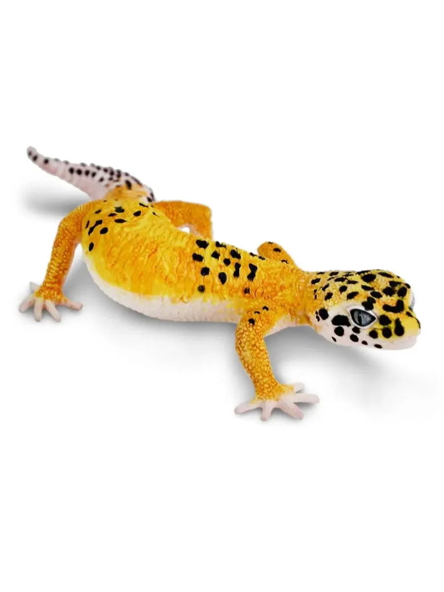 Фигурка леопардового геккона, 18 см Safari Ltd. — изображение 2 из 3, мульти