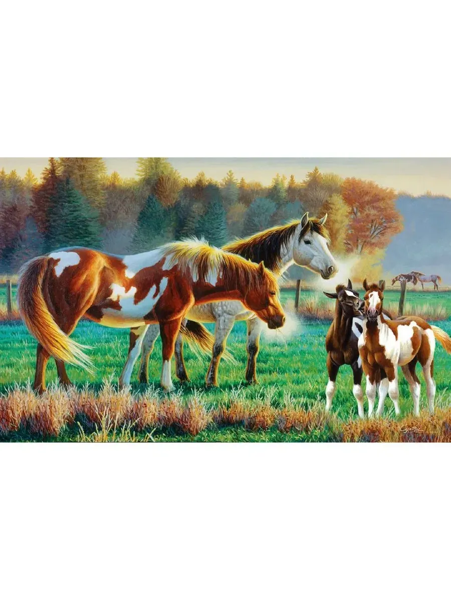 Пазл Pasture Family из 550 деталей для взрослых Sunsout — изображение 3 из 5, нет цвета