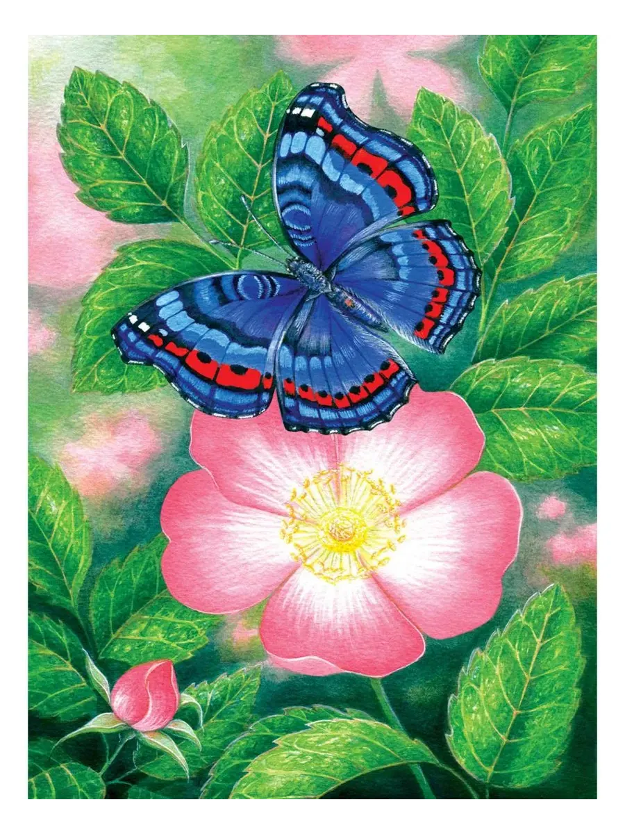 Пазл 1000 элементов Blue Butterfly, 50×68 см SunsOut — изображение 4 из 5, нет цвета