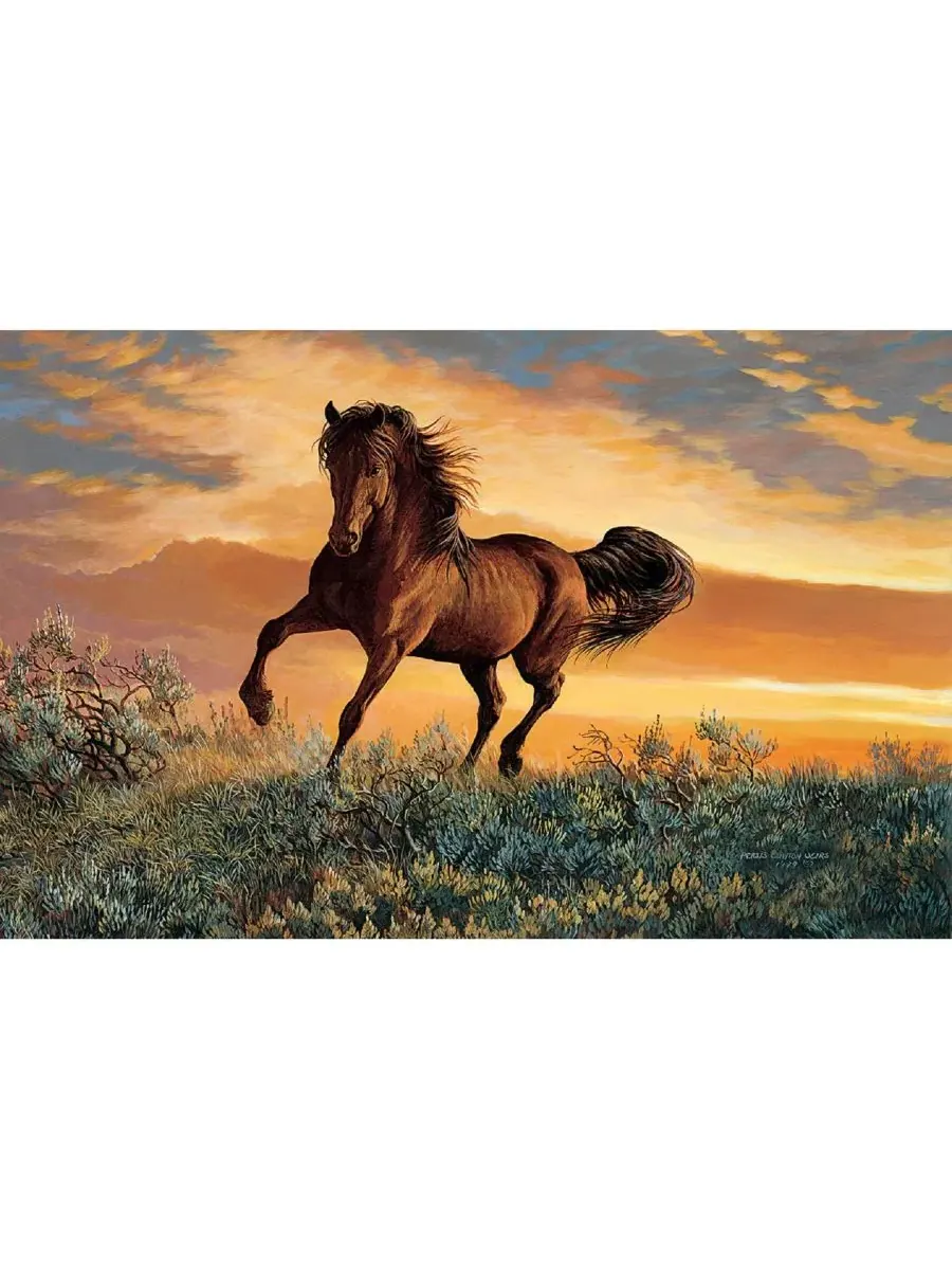 Пазл Mustang Sky из 1000 деталей для взрослых Sunsout — изображение 3 из 5, нет цвета