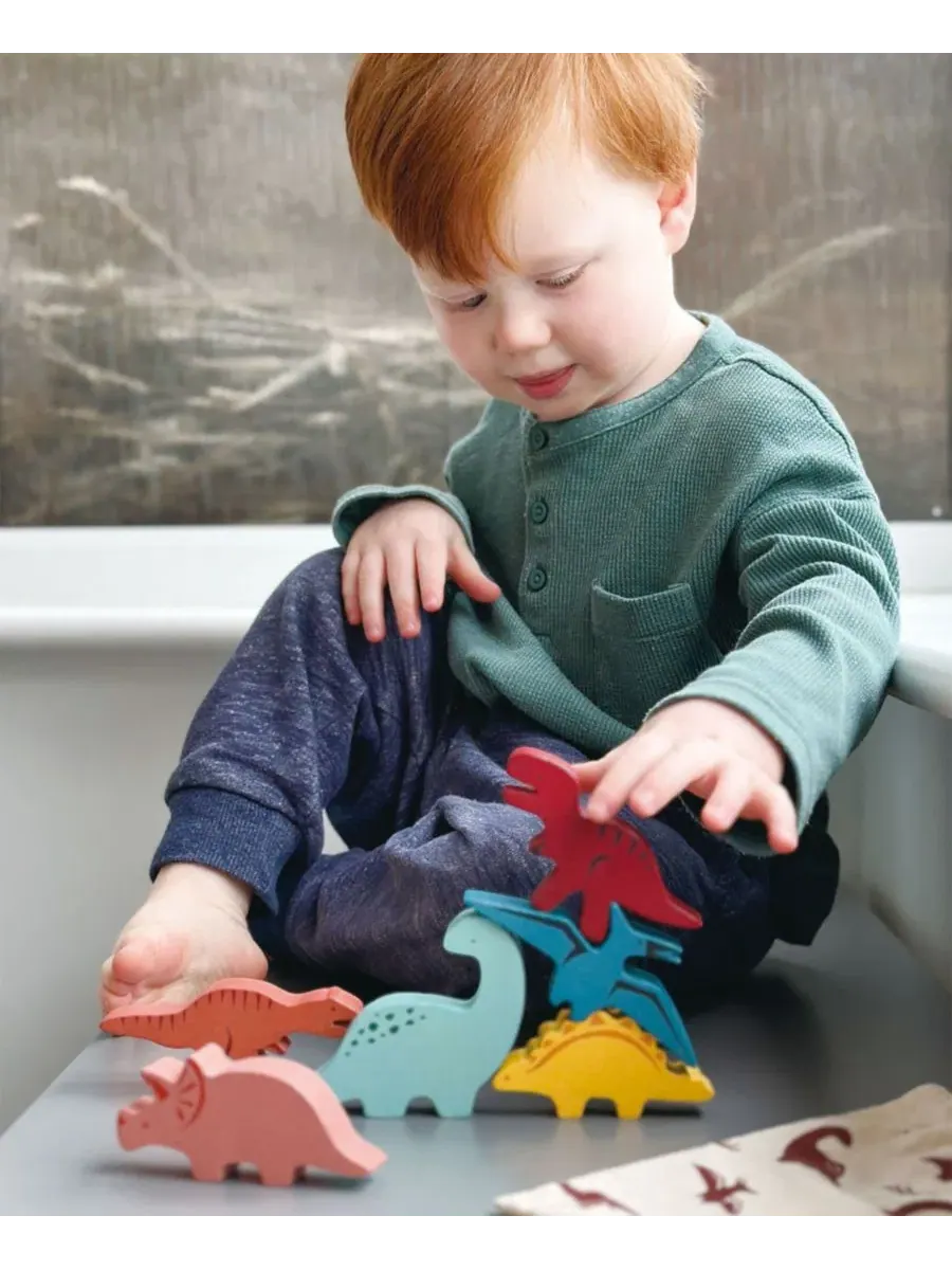 Набор для сортировки и складывания от Explorer Mentari Toys — изображение 2 из 3, мульти