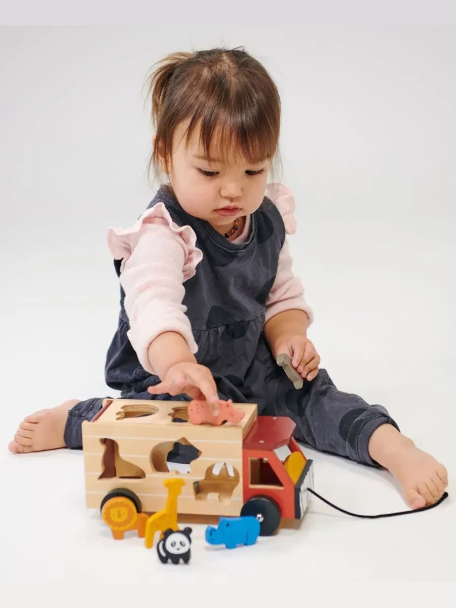 Набор для сортировки и складывания от Explorer Mentari Toys — изображение 3 из 3, мульти