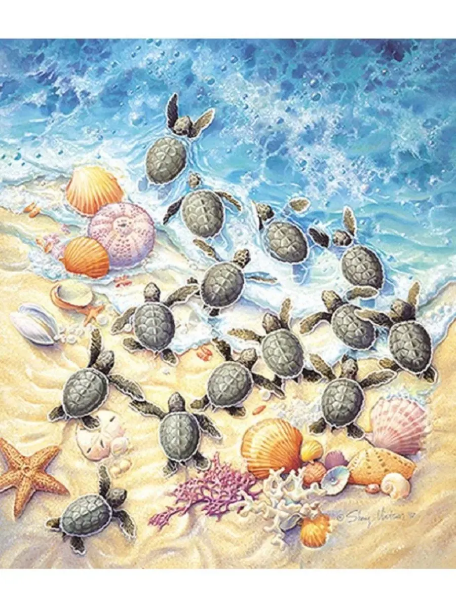 Пазл Green Turtle Hatchlings 550 деталей SunsOut — изображение 2 из 5, нет цвета