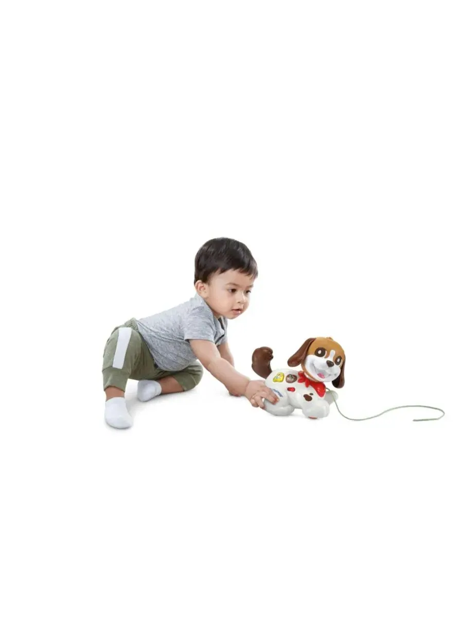 Интерактивная игрушка Walk Woof Puppy VTech — изображение 3 из 4, мульти