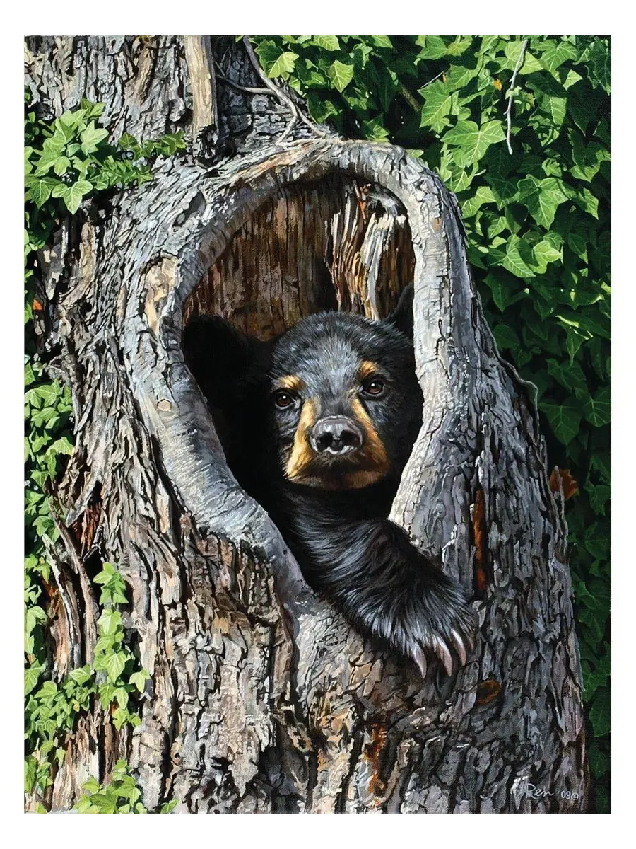 Пазл Cubby Hole из 500 деталей для взрослых Sunsout — изображение 4 из 5, нет цвета