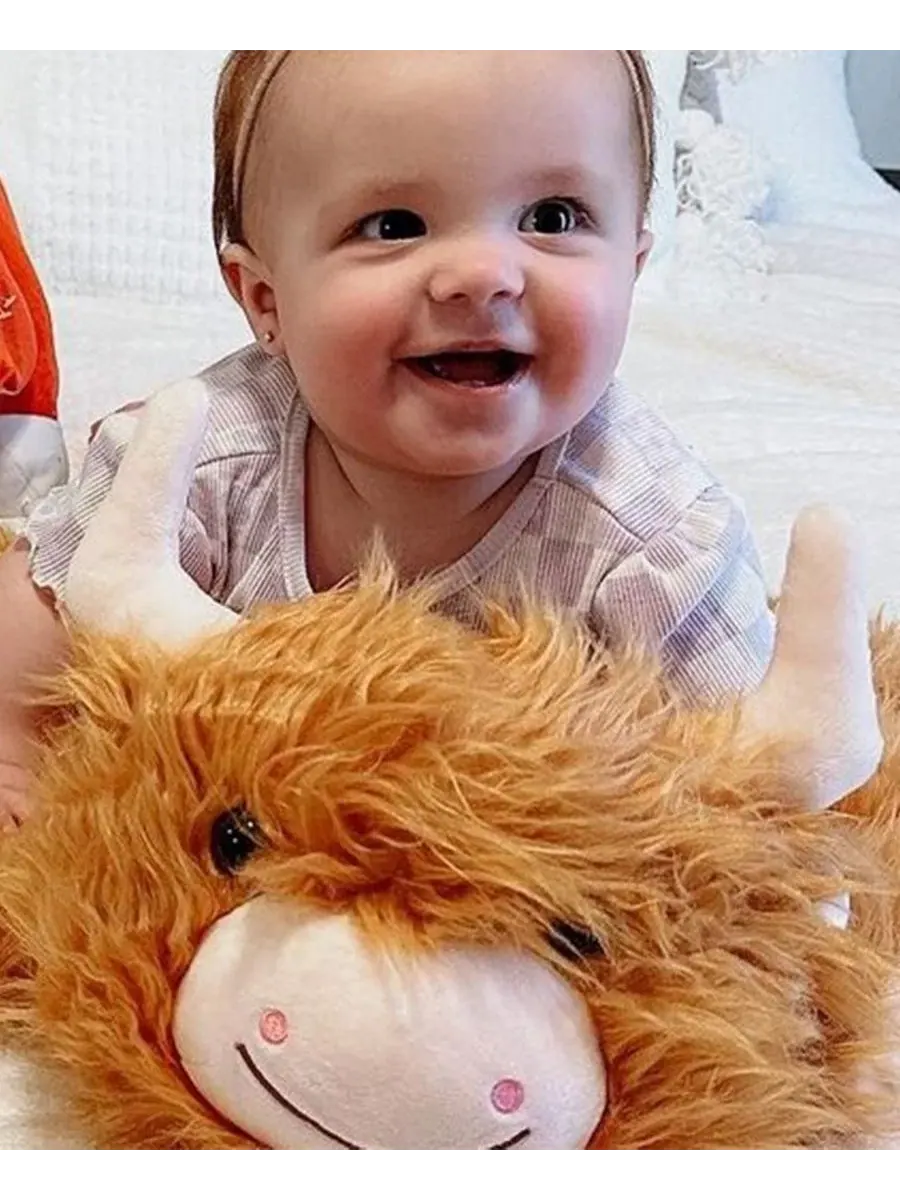 Мягкая игрушка-подушка Highland Cow Pillow Pets — изображение 3 из 3, коричневый