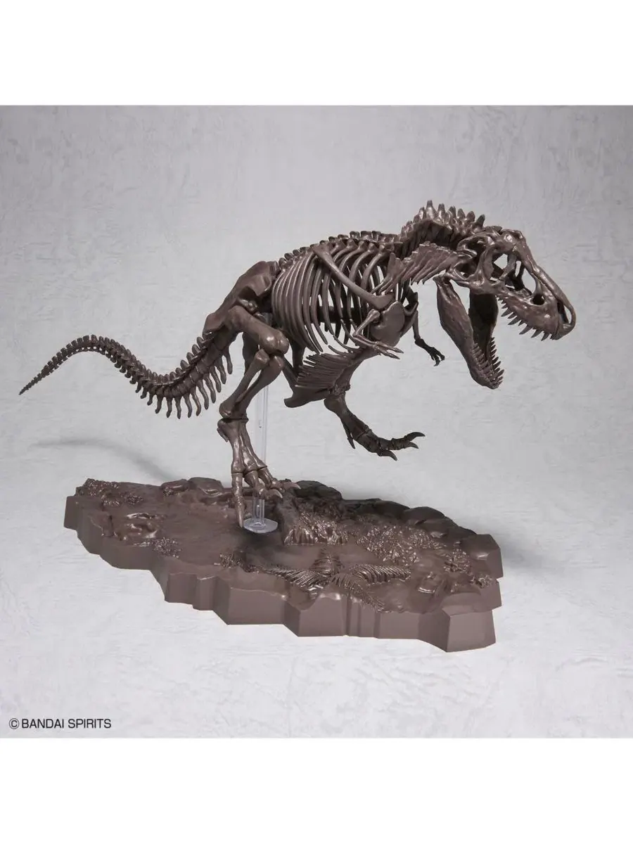 Модель скелета тираннозавра Imaginary Skeleton Tyrannosaurus Bandai — изображение 2 из 3, нет цвета
