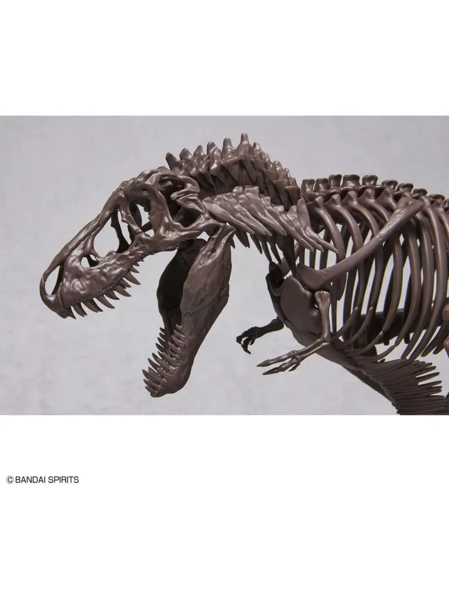 Модель скелета тираннозавра Imaginary Skeleton Tyrannosaurus Bandai — изображение 3 из 3, нет цвета