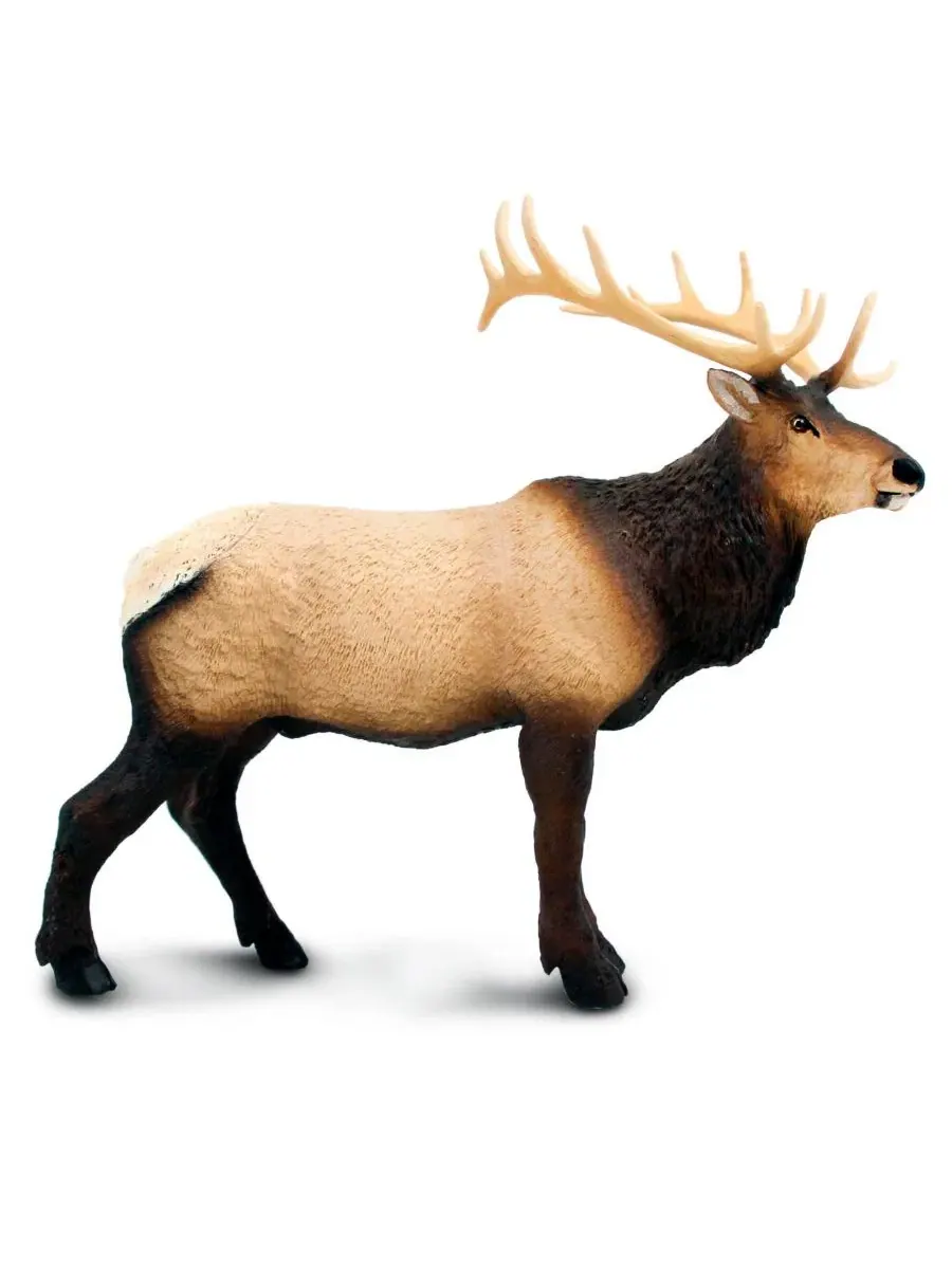 Фигурка лося реалистичная, 20 см Safari Ltd., Wild Wildlife Collection