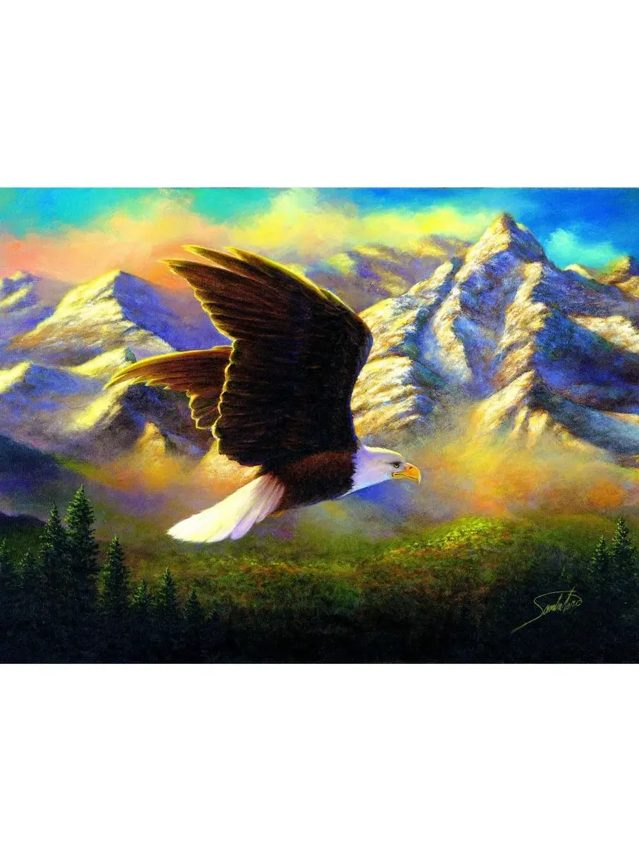 Пазл 1000 элементов Flying High SunsOut, 51 x 69 см — изображение 3 из 5, нет цвета