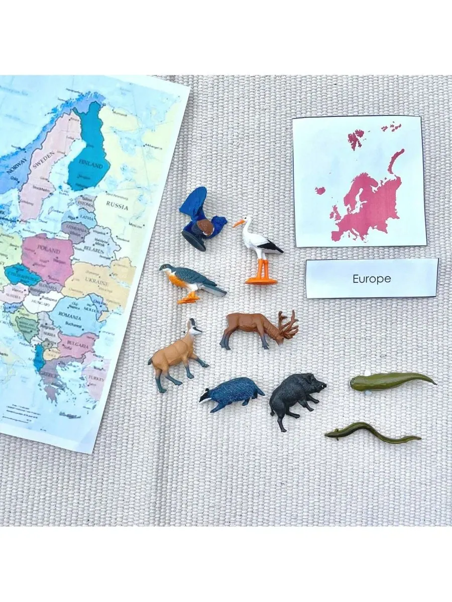 Набор фигурок животных Европы 9 шт European Animals Safari Ltd., Open Miscellaneous — изображение 2 из 3