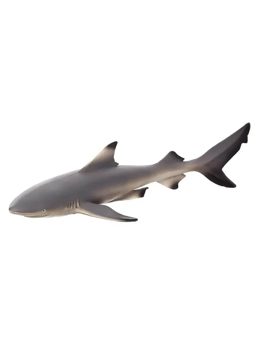 Фигурка акулы Black Tip Reef Shark Mojo, Open Miscellaneous — без цвета