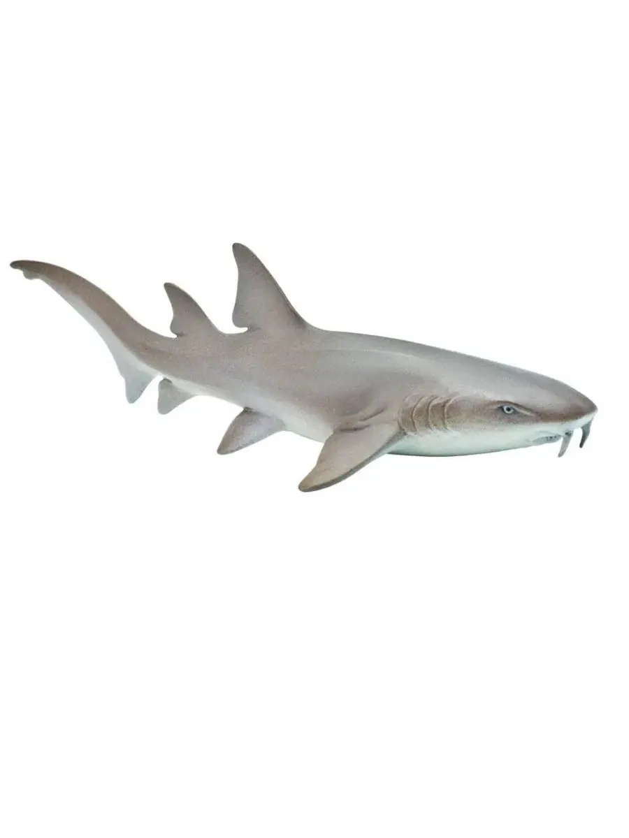 Фигурка акулы-няньки Nurse Shark Sea Life Figure Safari Ltd