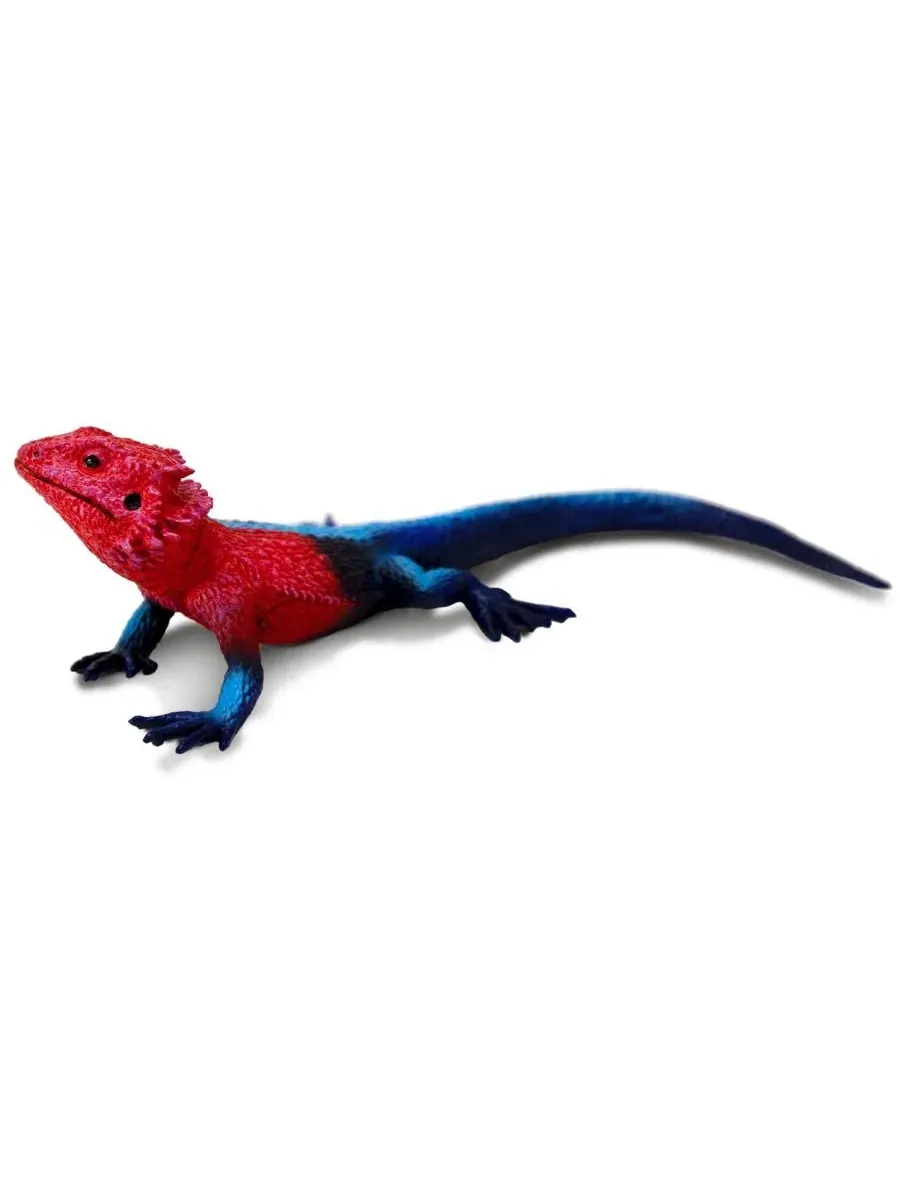 Фигурка Mwanza Flat-Headed Rock Agama Safari Ltd., Open Miscellaneous — изображение 2 из 3