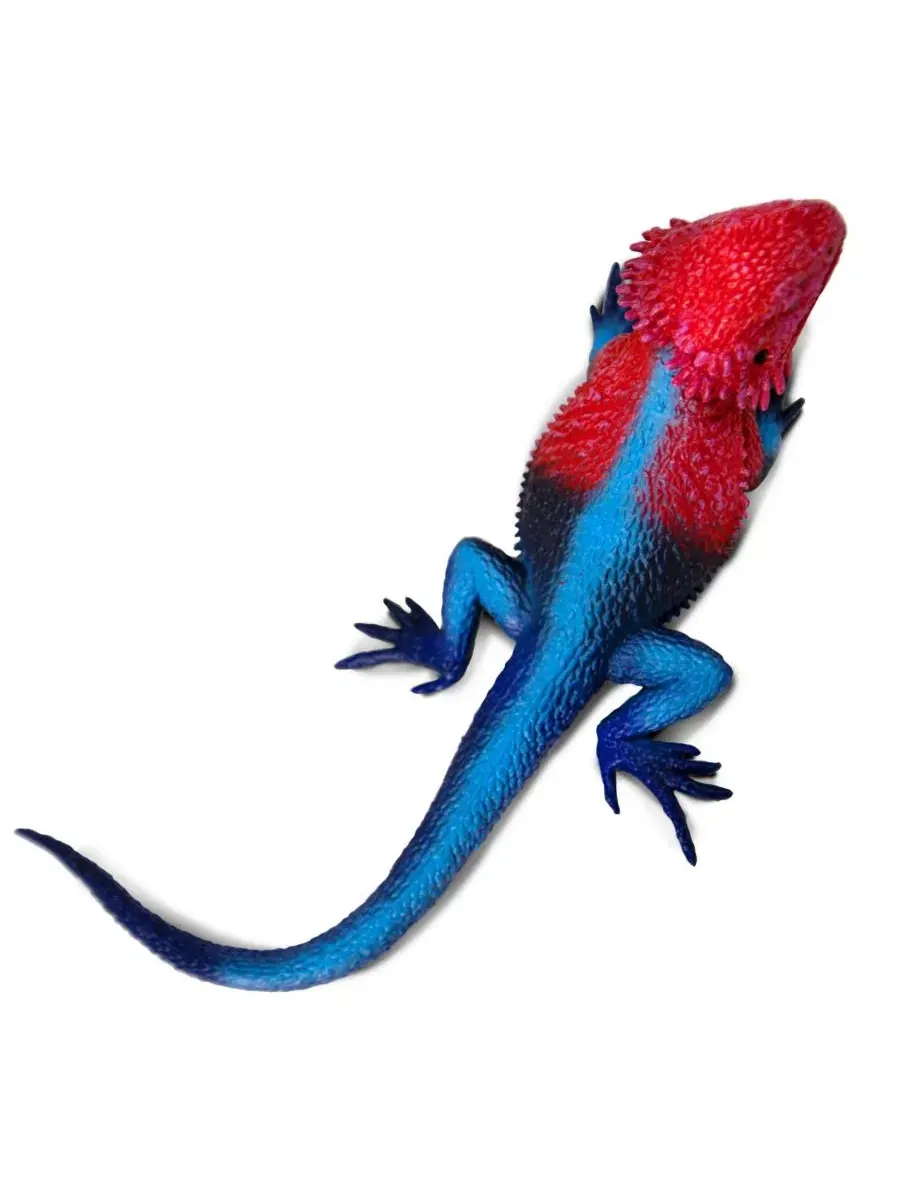 Фигурка Mwanza Flat-Headed Rock Agama Safari Ltd., Open Miscellaneous — изображение 3 из 3