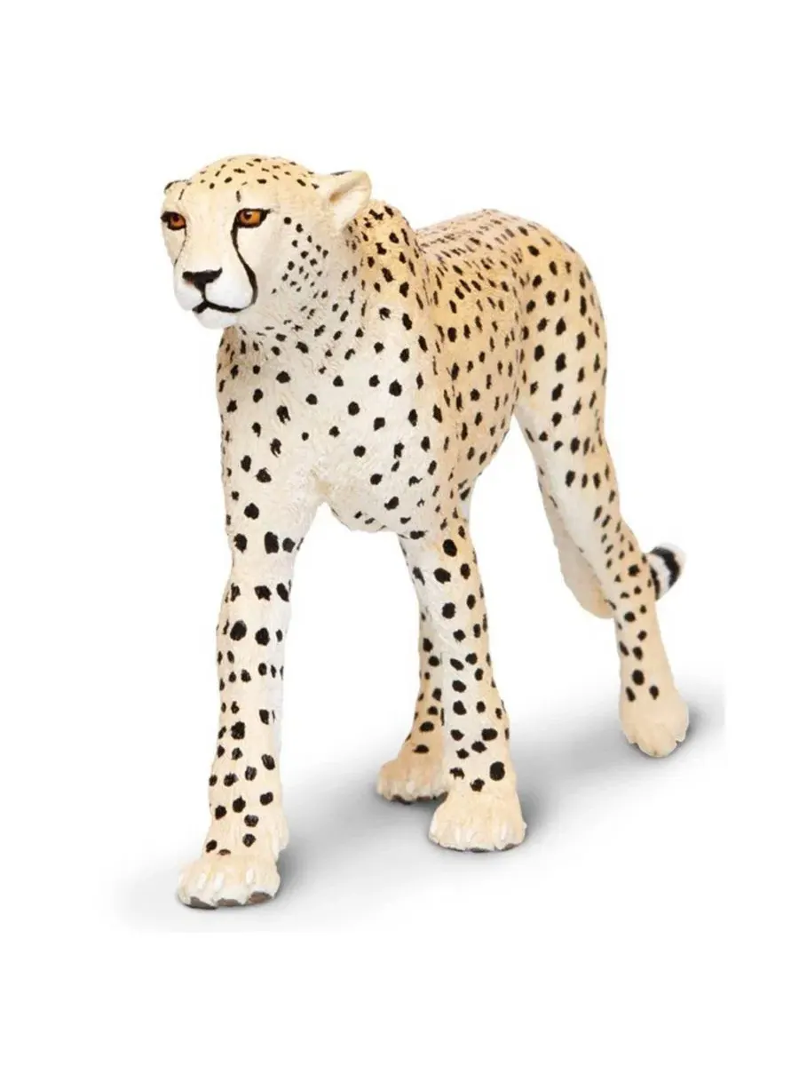 Фигурка гепарда Wildlife Wonders Collection Safari Ltd, Open Miscellaneous