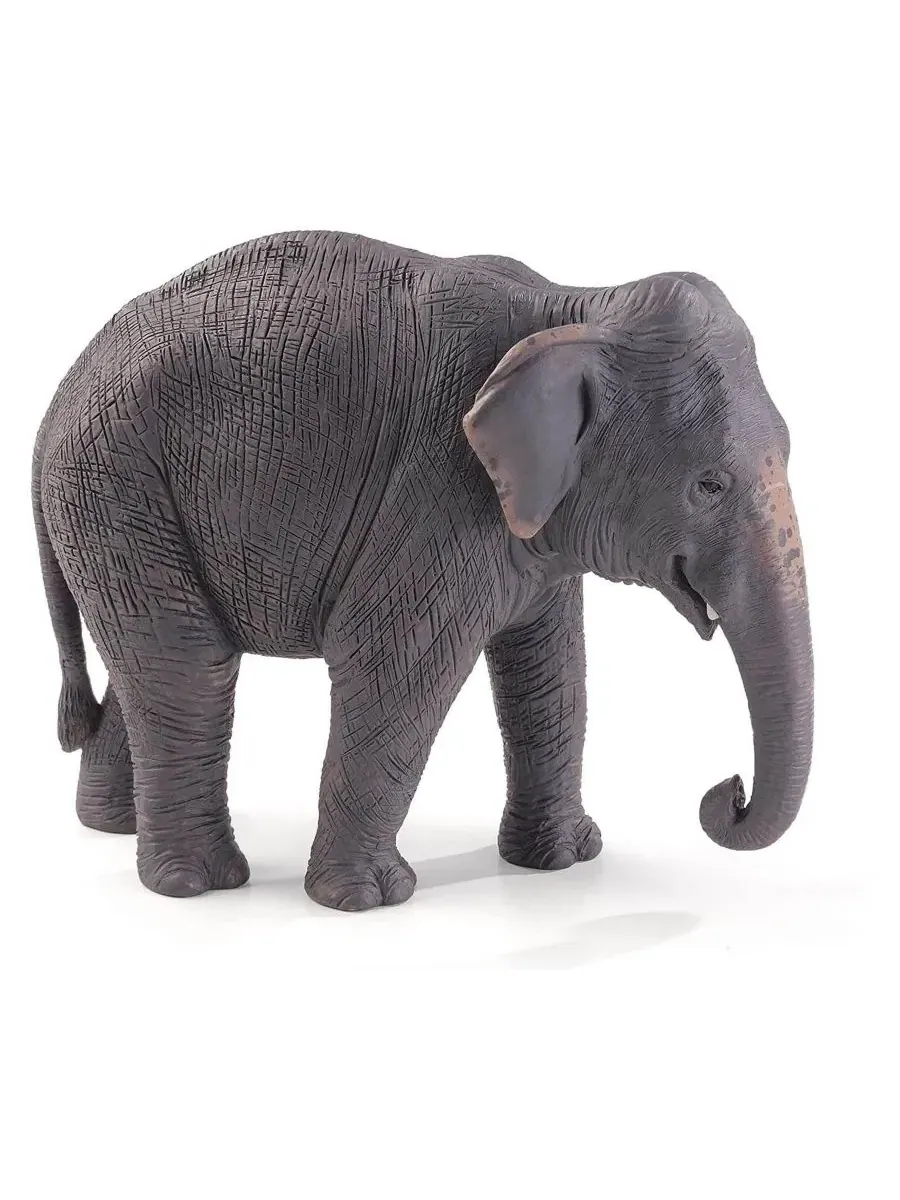 Фигурка азиатского слона Asian Elephant Mojo, Open Miscellaneous — изображение 2 из 2